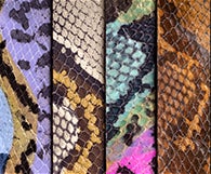 SNAKE PRINTS