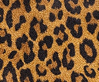 LEOPARD PRINT