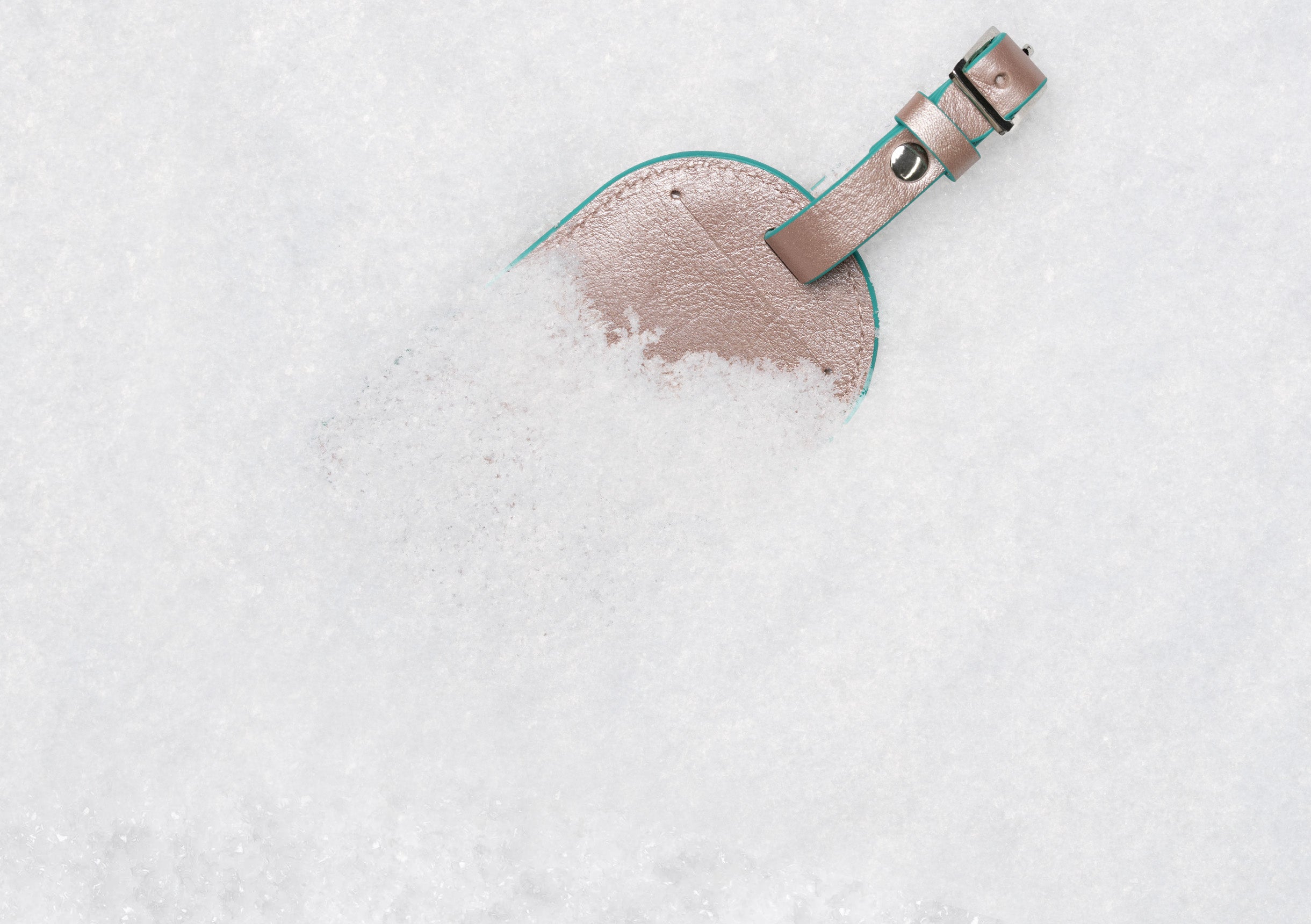 Tieks by gavrieli luggage tag