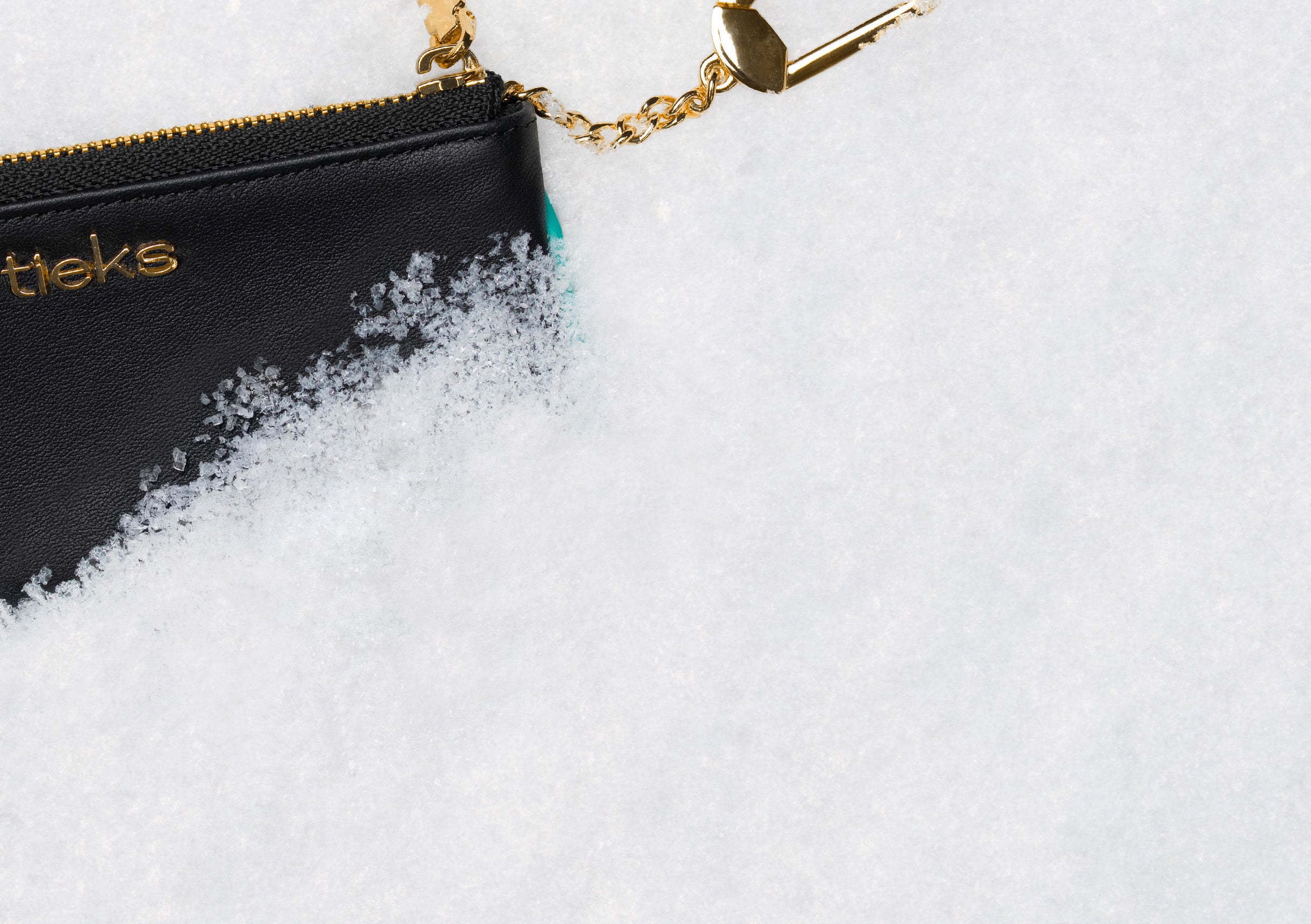 Tieks by gavrieli coin pouch