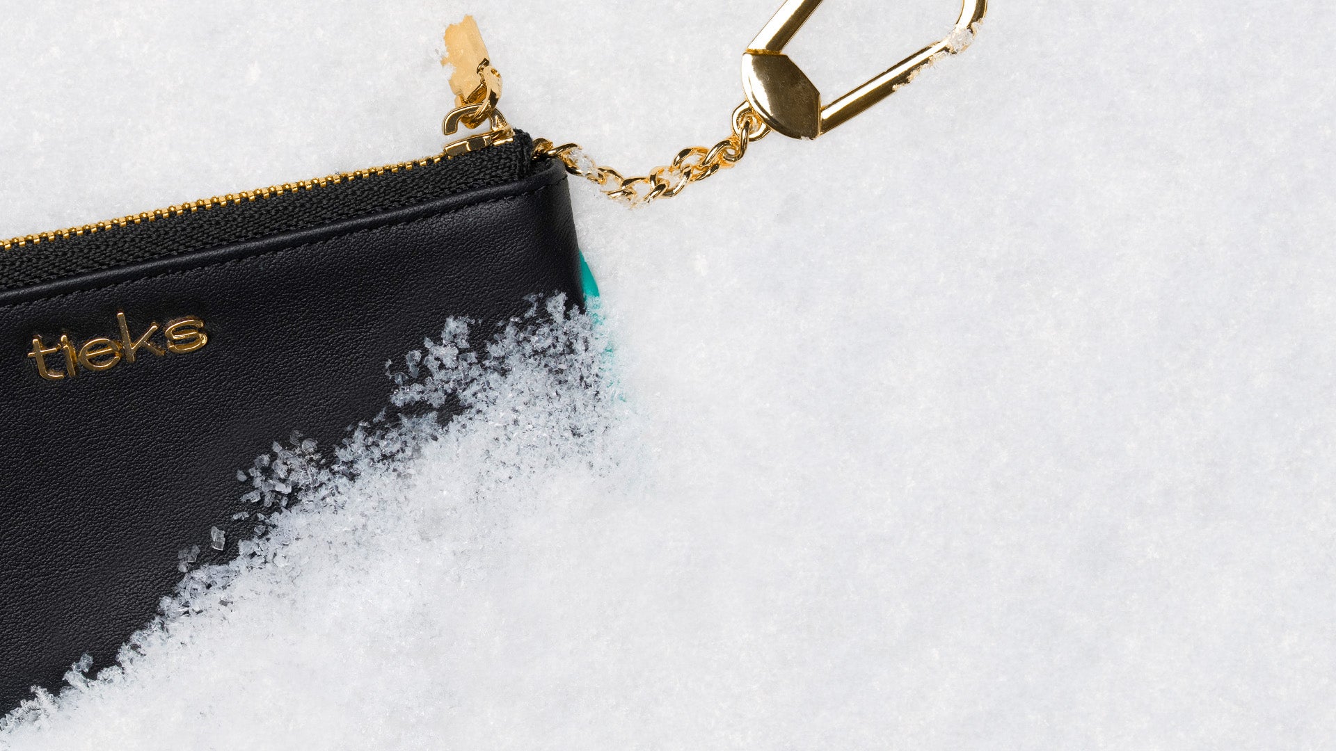 Tieks by gavrieli coin pouch