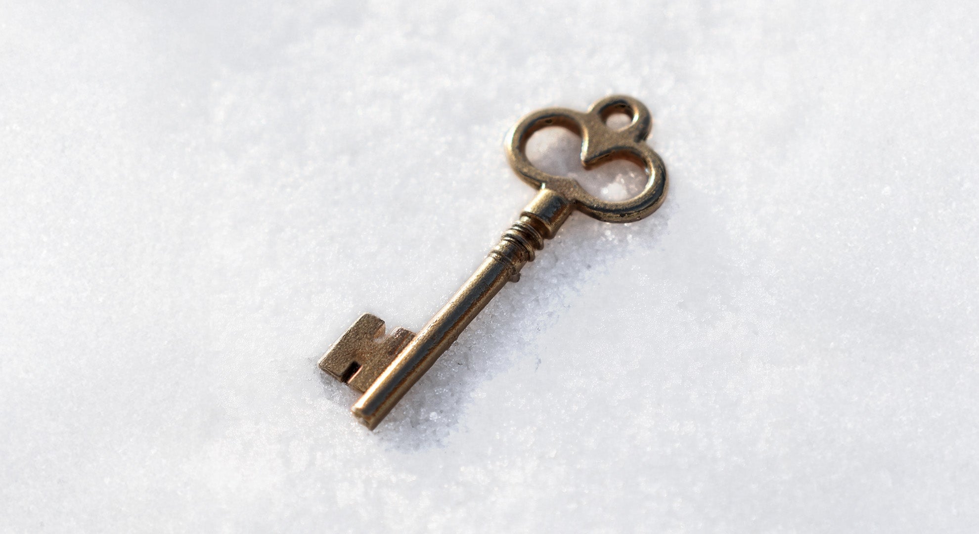 Tieks by gavrieli golden key