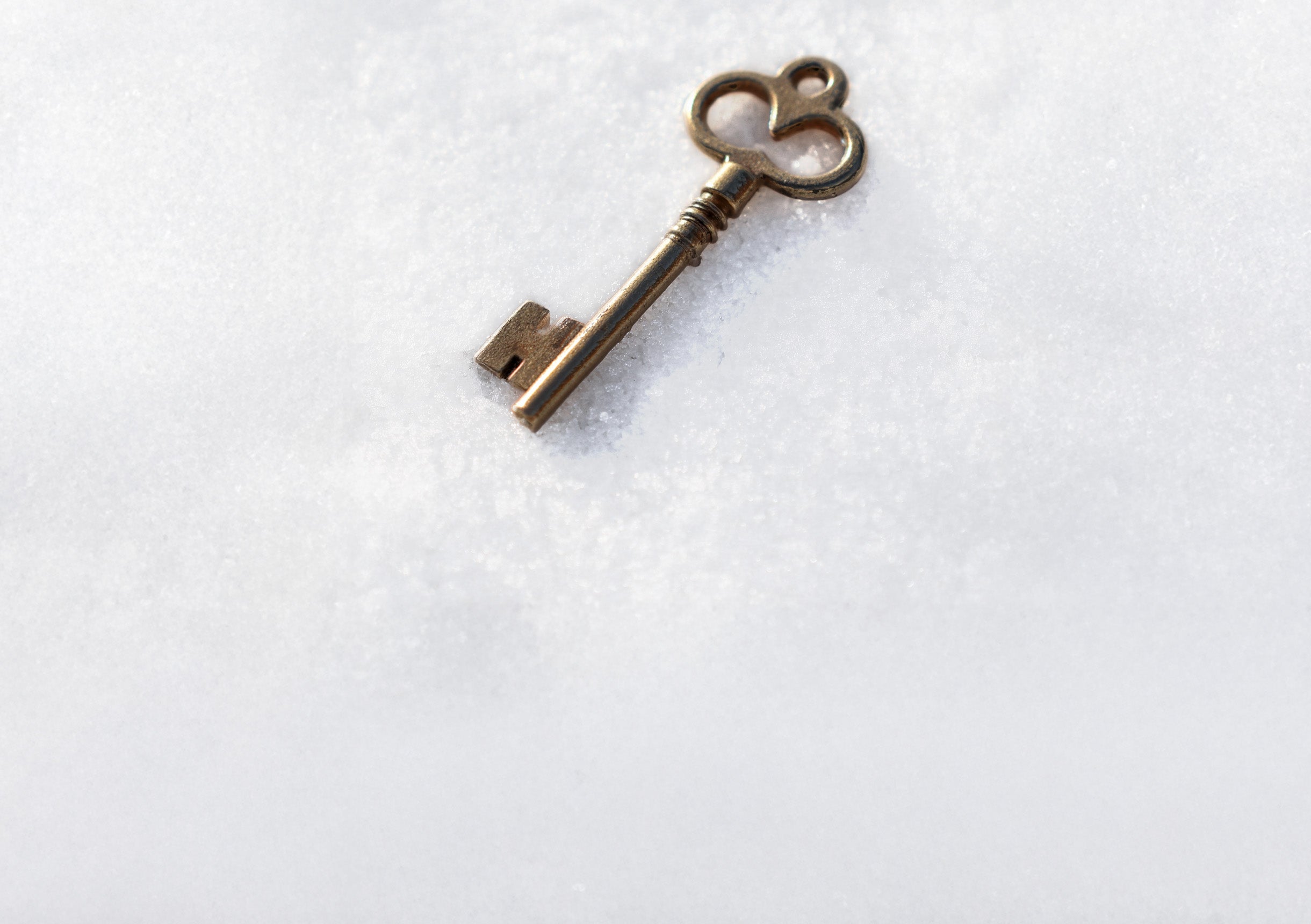 Tieks by gavrieli golden key