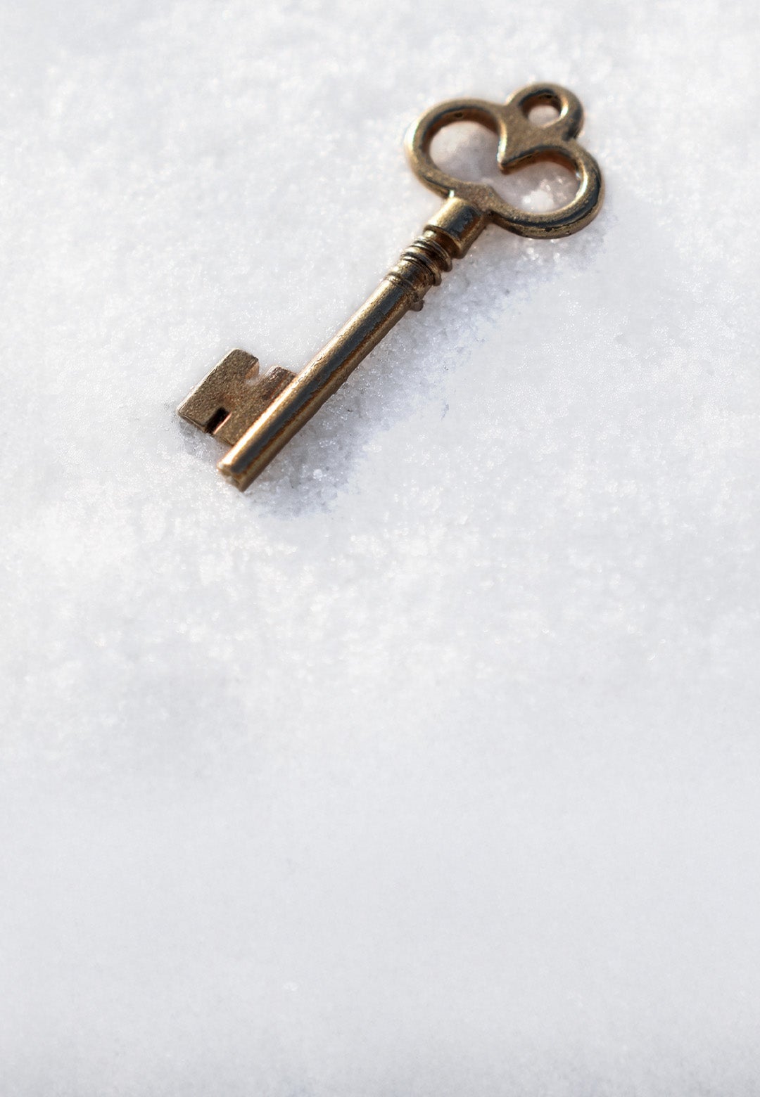 Tieks by gavrieli golden key