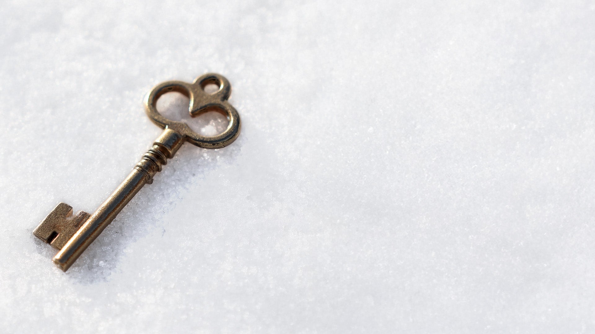 Tieks by gavrieli golden key