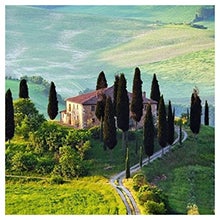 Toscani Tieks. #tieks