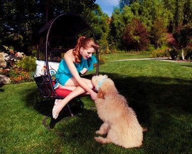 social image featuring rose garden tieks flats and a dog
