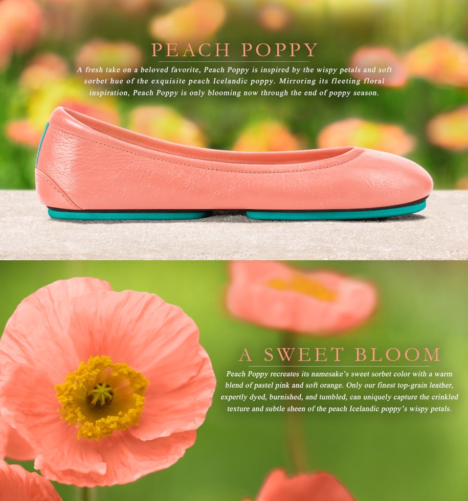 Peach Poppy